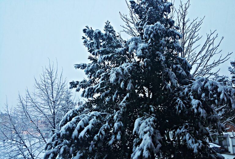 neve a Gubbio