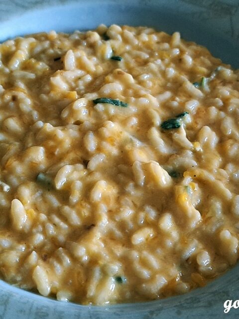 Risotto con porro, zucca gialla, gorgonzola, salvia, parmigiano