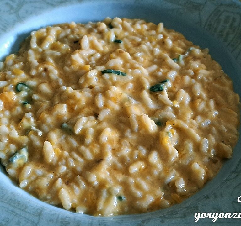 Risotto con porro, zucca gialla, gorgonzola, salvia, parmigiano